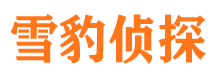 乌海侦探公司